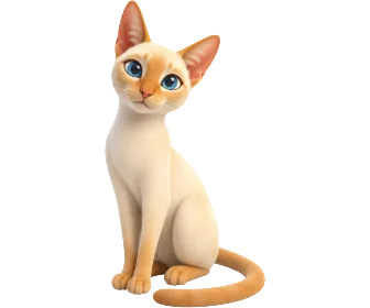 Colorpoint Shorthair su Wefido
