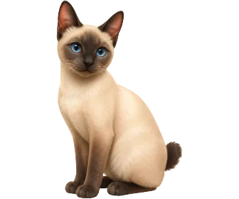 Mekong Bobtail on Wefido