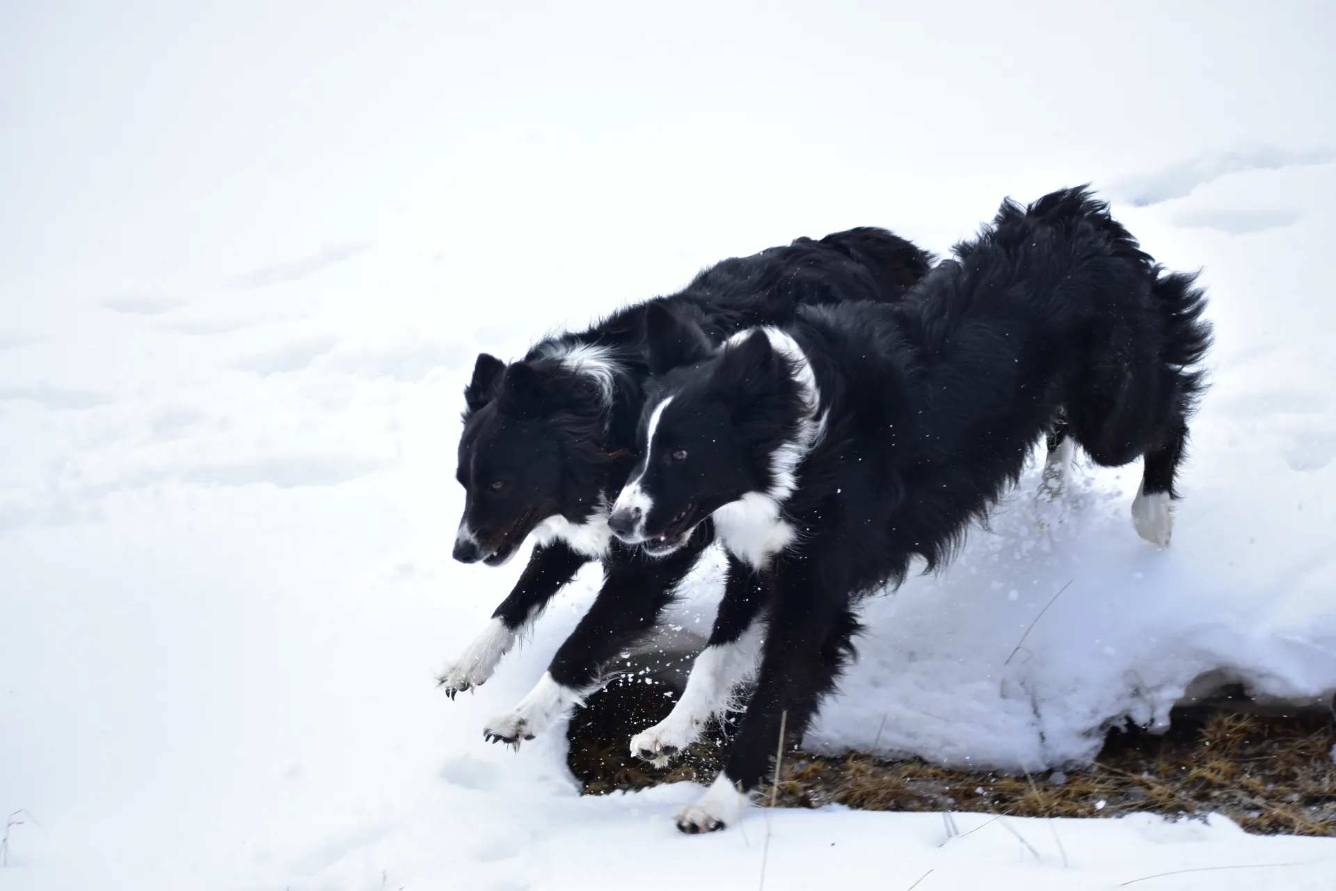 Gita in montagna Maggio 2026 💜