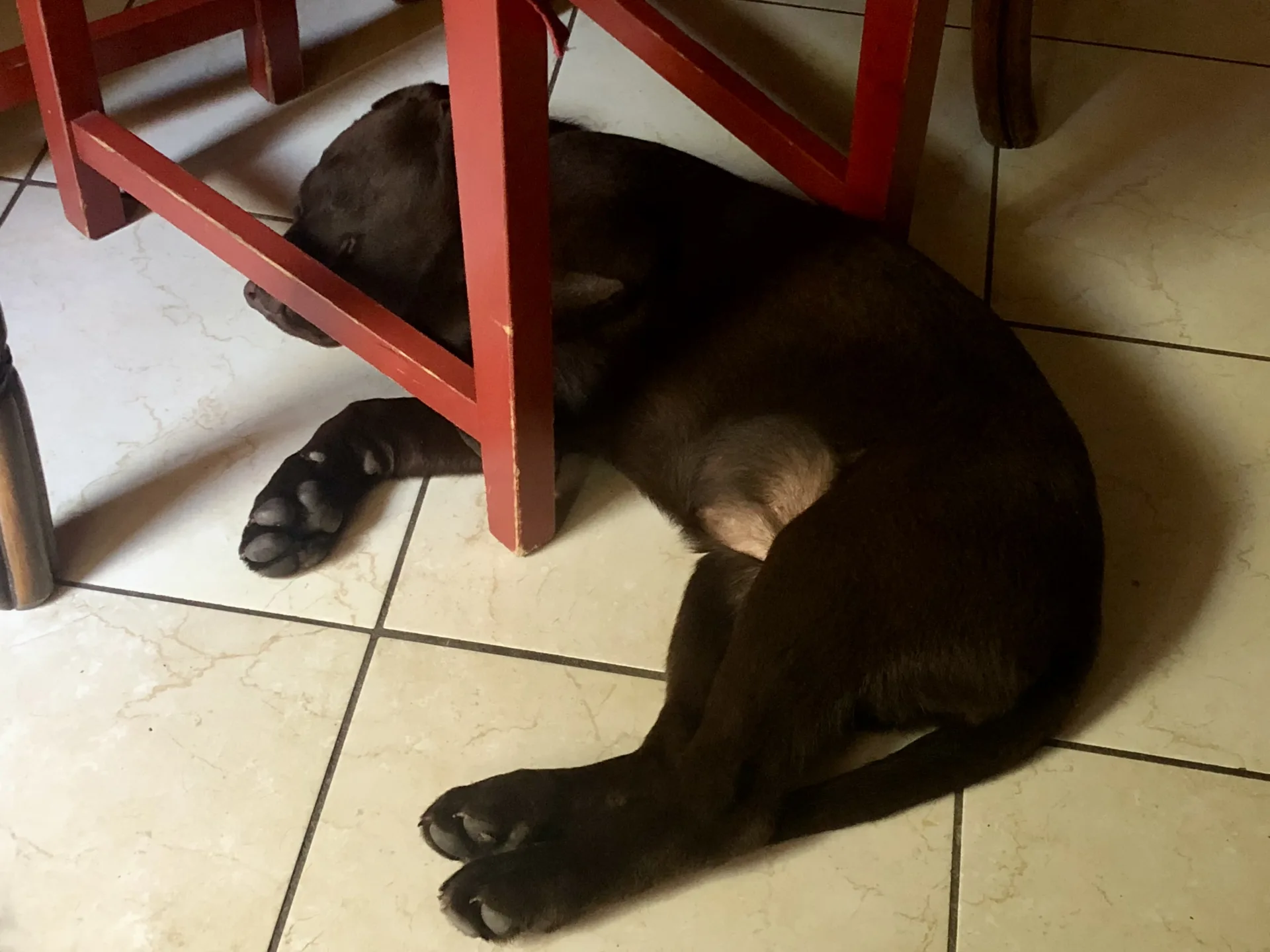 Foto profilo di Tara